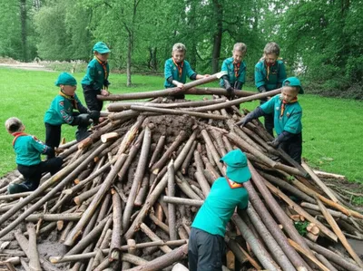 Illustration colony - Image 1