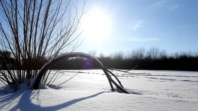 Illustration unbends - Image 1