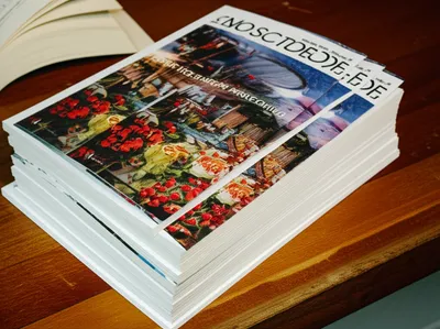 Illustration fascicles - Image 1