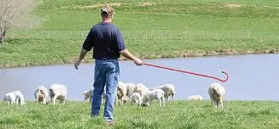 Illustration crook - Image 2