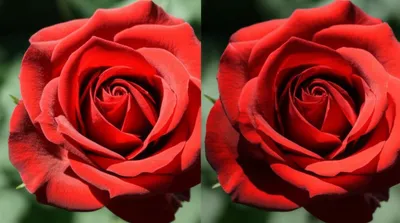 Illustration stop - Image 1