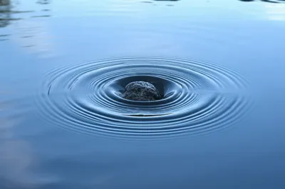 Illustration upsets - Image 1