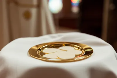 Illustration paten - Image 1