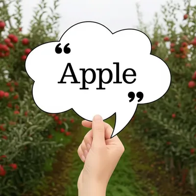 Illustration mention - Image 1