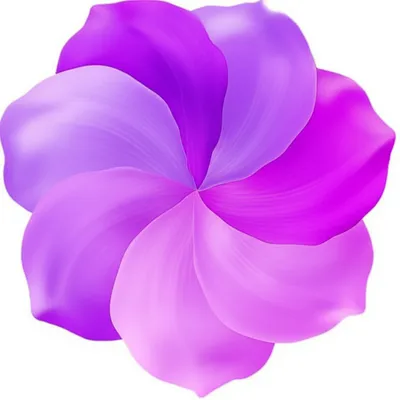 Illustration connate - Image 1