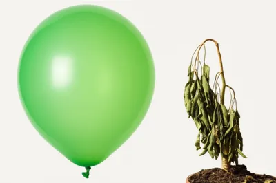 Illustration bloat - Image 1