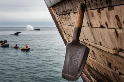 Illustration slice - Image 1