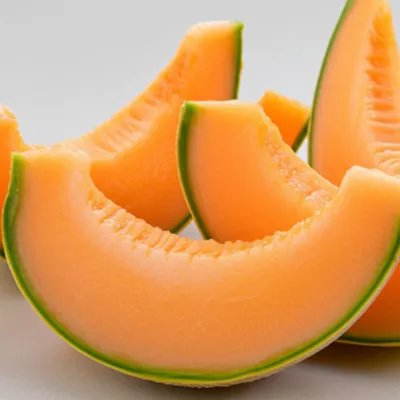 Illustration melon - Image 1