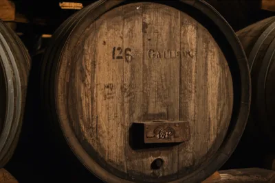 Illustration butts - Image 1