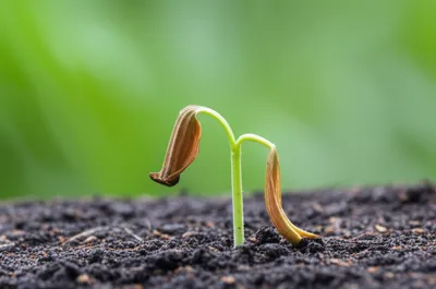 Illustration ab - Image 1