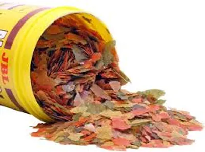 Illustration flake - Image 3