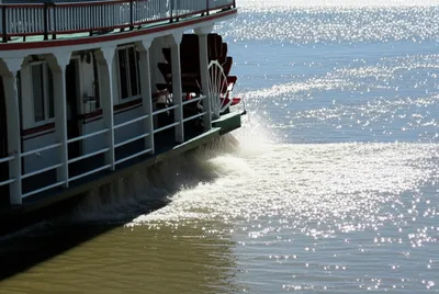 Hình ảnh minh họa paddlewheel