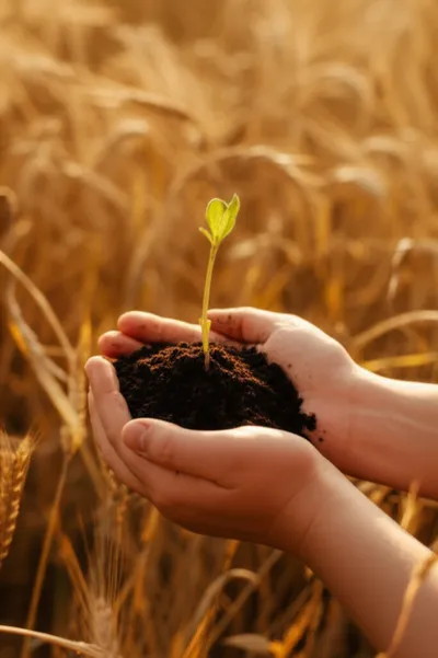 Illustration earthen - Image 1