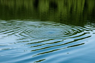 Illustration frets - Image 1