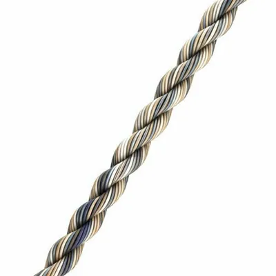 Hình ảnh minh họa string - Ảnh 1