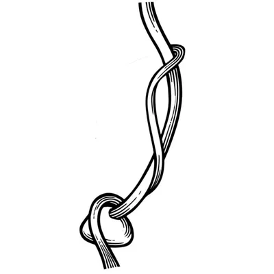 Illustration wrap - Image 1