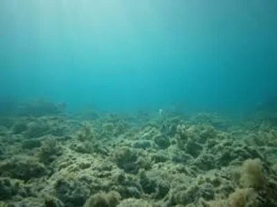 Illustration bed - Image 8