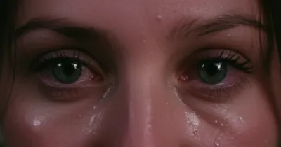 Illustration mists - Image 1