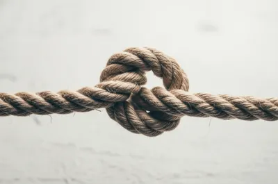 Illustration walls - Image 1