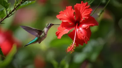 Illustration pitching - Image 1