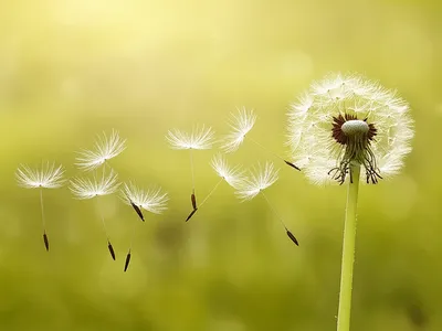 Illustration whiffled - Image 1