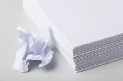 Illustration bastard - Image 1