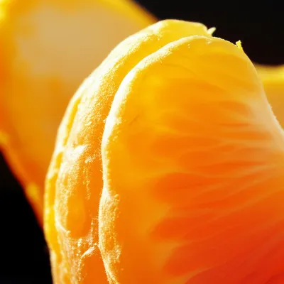 Illustration tangerines - Image 1