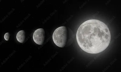 Illustration waxing - Image 1