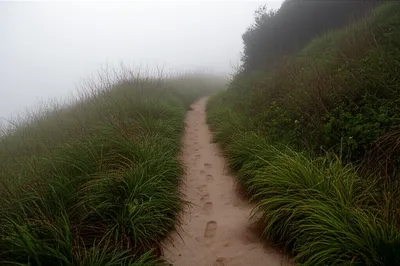 Illustration loses - Image 1