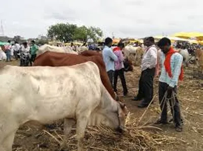 Illustration drove - Image 3