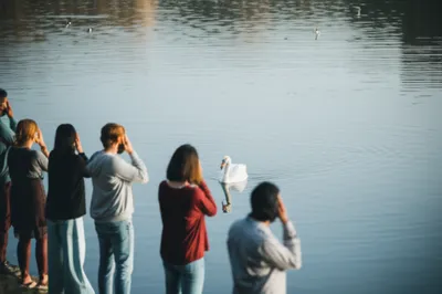 Illustration mutes - Image 1