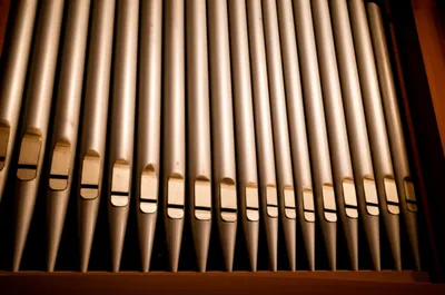 Illustration gamba - Image 1