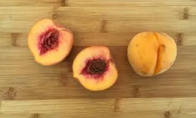 Illustration cling - Image 2