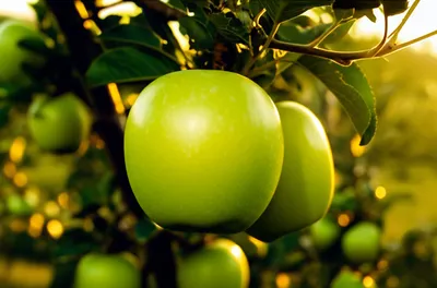 Illustration rounding - Image 1