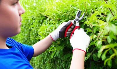 Illustration abridges - Image 1