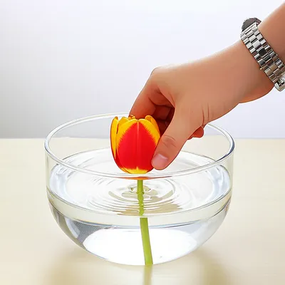 Illustration immerse