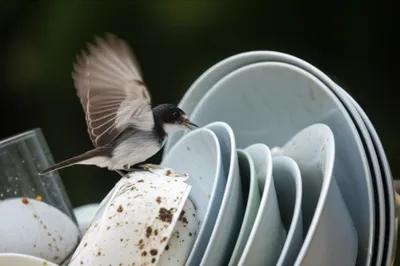 Illustration dishwasher - Image 1