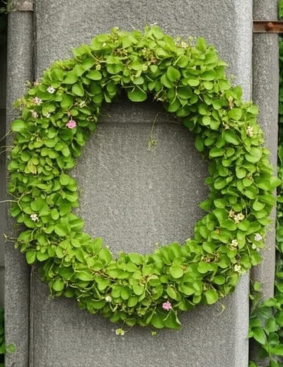 Illustration wreathing - Image 1