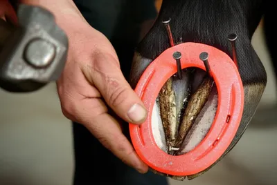 Illustration infixed - Image 1