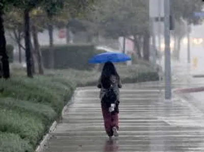 Illustration drizzle - Image 2