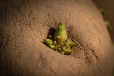 Illustration eye - Image 1