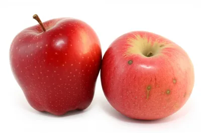 Illustration comps - Image 1