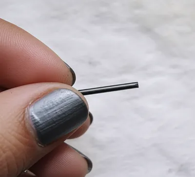 Illustration plumbago - Image 1