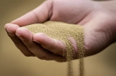 Illustration mounds - Image 1