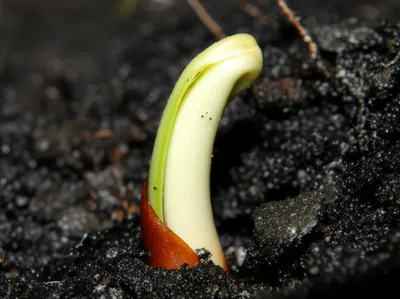 Illustration jackets - Image 1