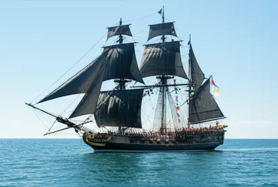 Illustration hermaphrodite - Image 1