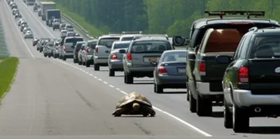 Illustration stall - Image 1