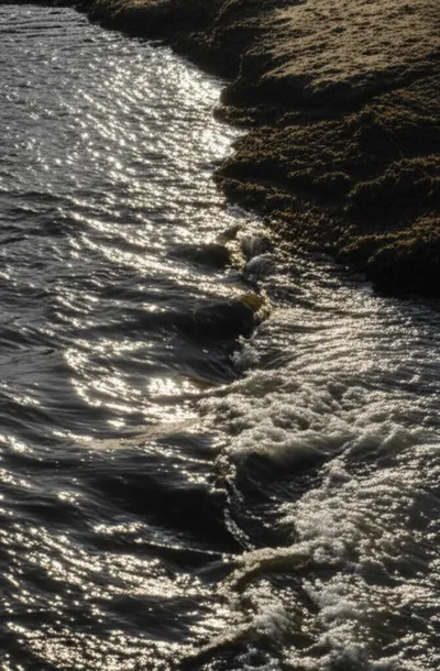 Hình ảnh minh họa defecate - Ảnh 1