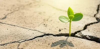 Illustration robustness