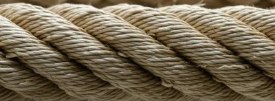 Illustration services - Image 1